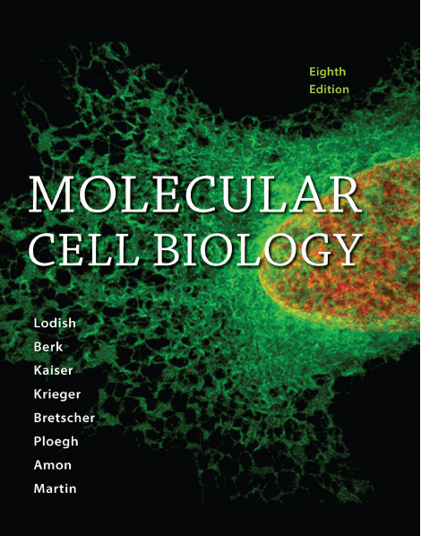 Molecular Cell Biology Lodish